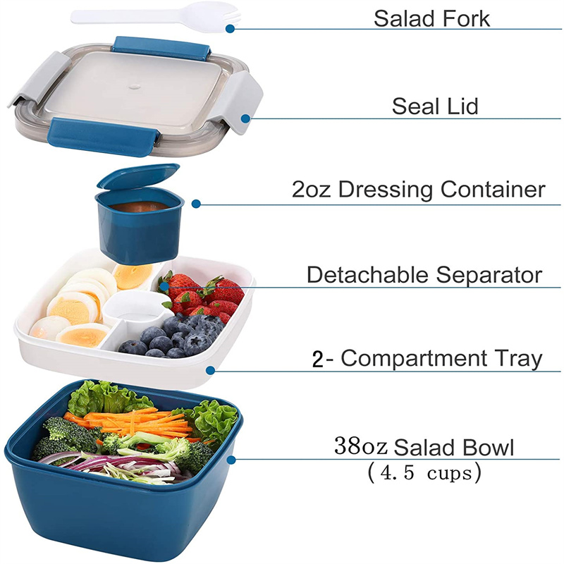 Di Động Salad Ăn Trưa Đựng Sal - đánh giá và giá Food Storage Box Large