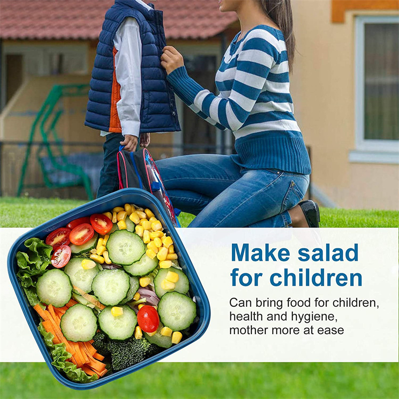 Di Động Salad Ăn Trưa Đựng Sal - đánh giá và giá Food Storage Box Large