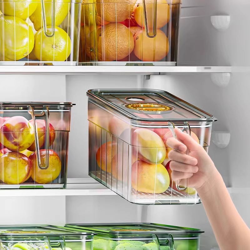Refrigerator sorting storage b - đánh giá và giá Food Storage System